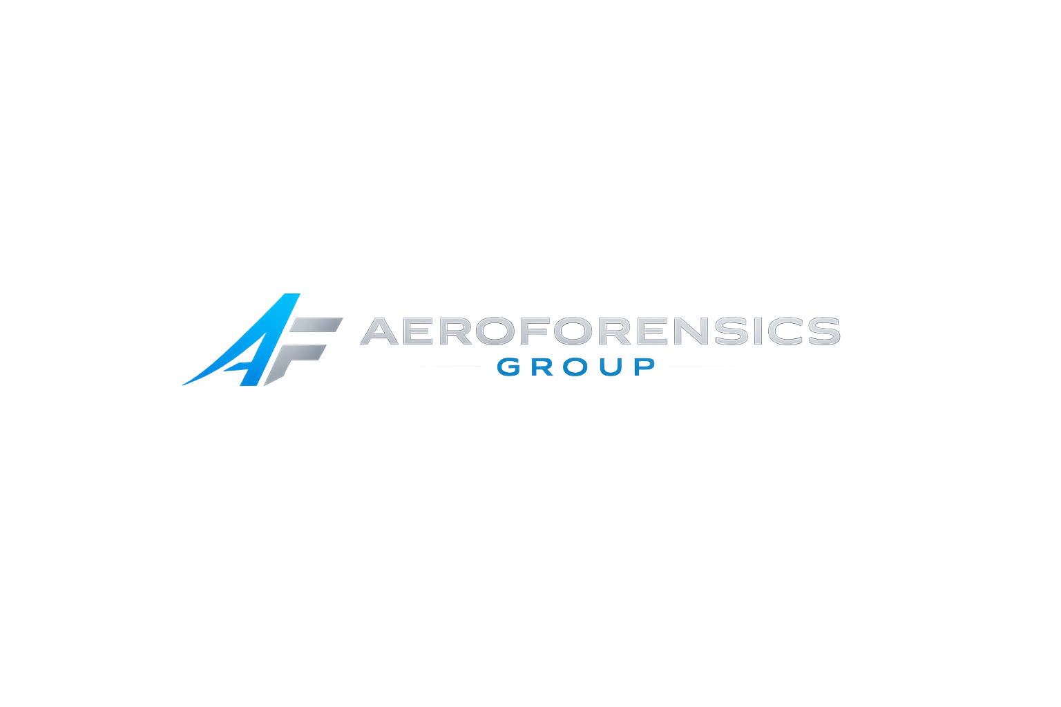 aeroforensicsgroup.com